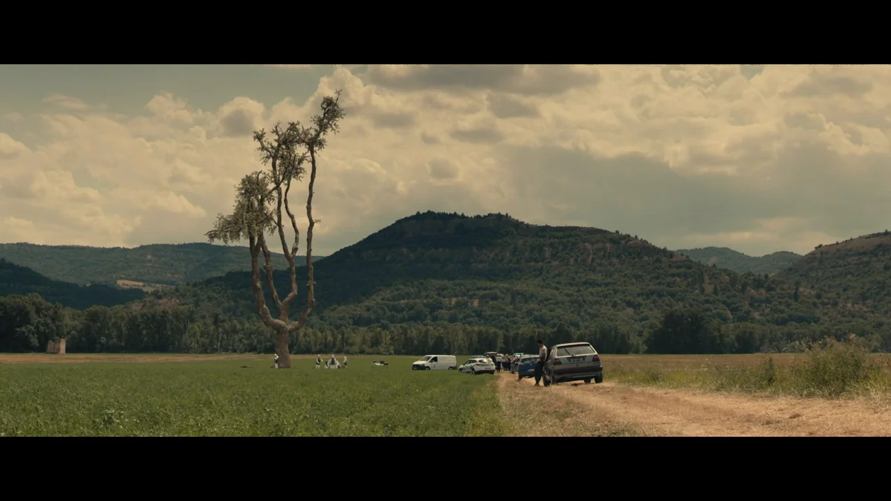 Visions TF1 - VFX