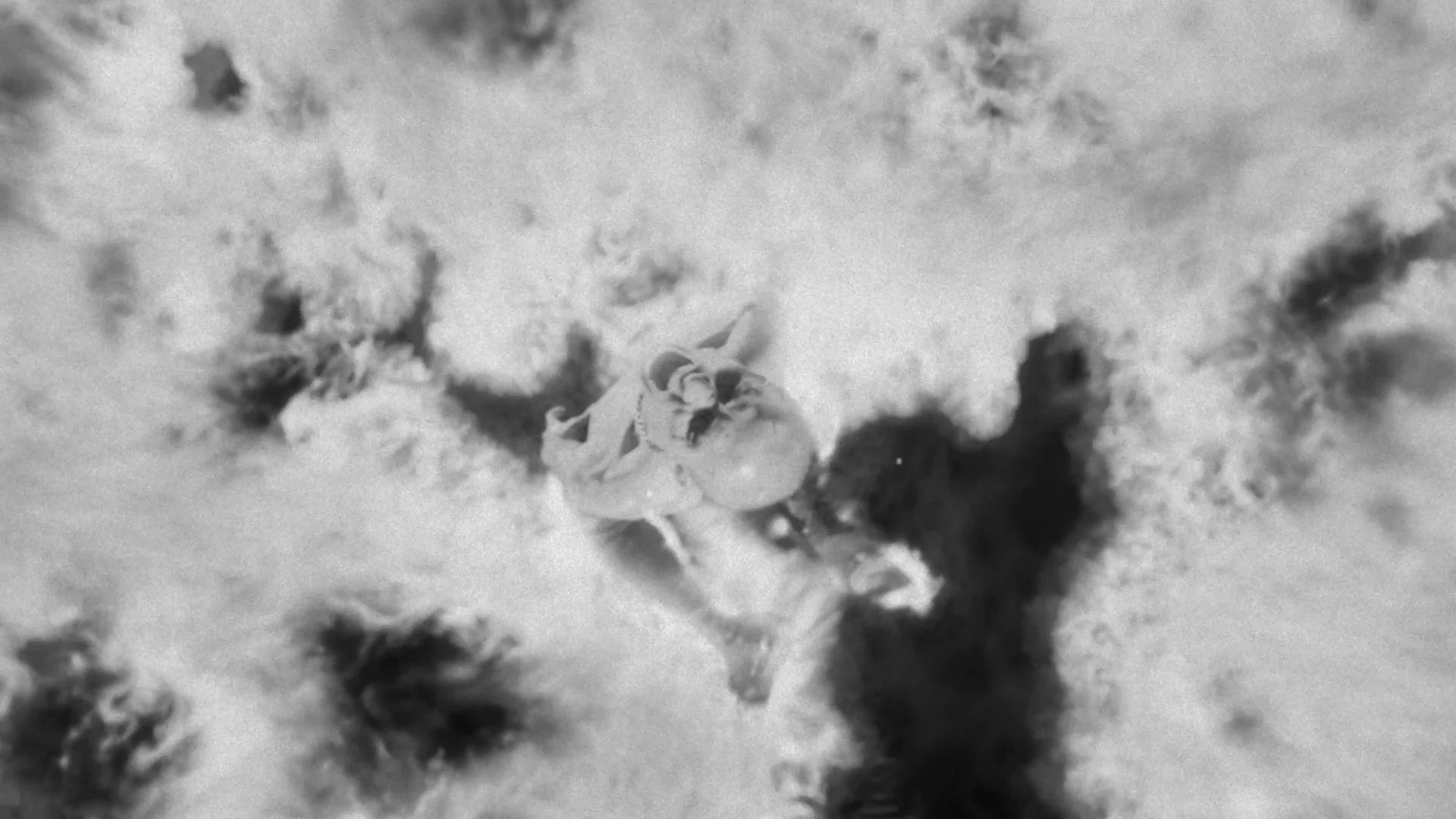 7Jaws feat Vald_Jusqu’à la fin - VFX